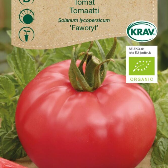 Weibulls Tomat Faworyt (Solanum lycopersicum Faworyt)