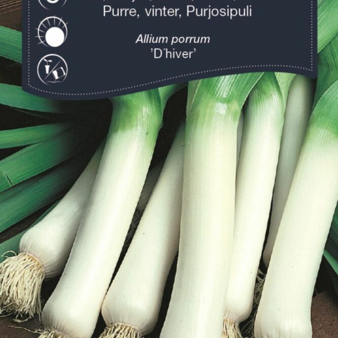 Weibulls Vinter-Porre D’hiver (Allium porrum D’hiver)