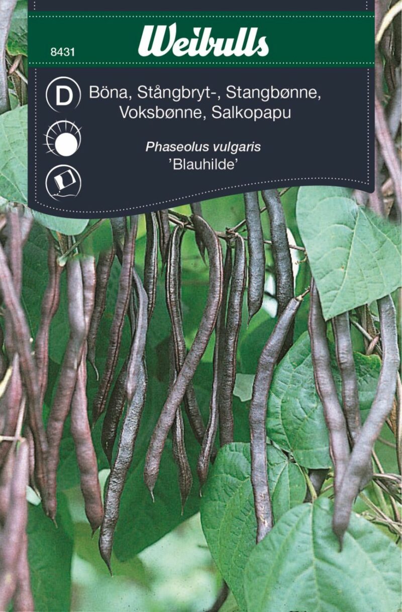 Weibulls Voksbønne Blauhilde (Phaseolus vulgaris Blauhilde)